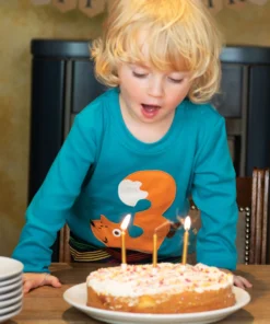 Frugi Blue Organic Cotton 3rd Birthday T-Shirt