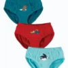 Frugi Organic Cotton Red, Teal And Blue 3 Pack Briefs -Our Lil Trends Sales Store unnamed file 679 scaled