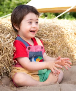 Frugi Natural Organic Rainbow Colourblock Dungarees -Our Lil Trends Sales Store unnamed file 720 scaled